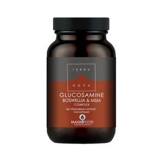 Terranova Glucosamine, Boswellia & ΜSM Complex - Joint Support 100 Caps