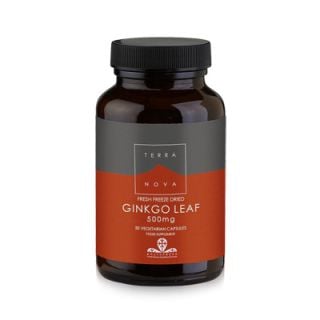 Terranova Ginkgo Leaf 500mg 50 Caps Ενίσχυση Μνήμης