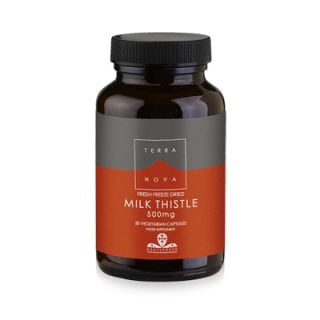 Terranova Milk Thistle 500mg 50 Caps Αποτοξινωτικό