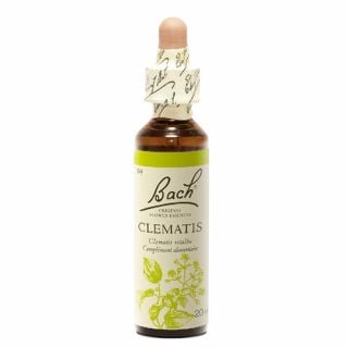 Bach Clematis No9 20ml