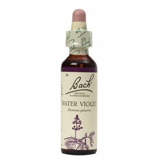 Bach Water Violet No34 20ml
