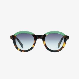 Emery Adult HD Polarized Sunglasses New Delhi