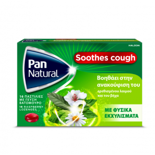 gsk Pan Natural Παστίλιες για Ερεθισμένο Λαιμό & Βήχα με Γεύση Βατόμουρο με Φυσικά Εκχυλίσματα 16τμχ