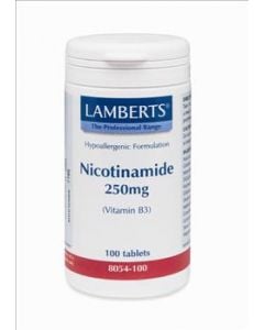 BestPharmacy.gr - Photo of Lamberts Nicotinamide 250mg 100 Tabs