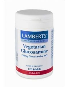 BestPharmacy.gr - Photo of Lamberts Vegeterian Glucosamine 750mg 120 Tabs