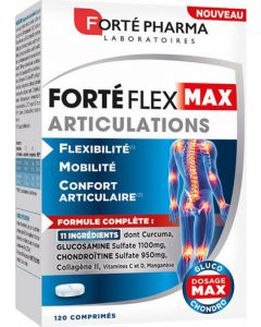 Forte Pharma Forte Flex Max 120 Caps Συμπλήρωμα Διατροφής για τις Αρθρώσεων 120κάψουλες