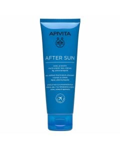 Apivita After Sun Cool & Smooth Face & body Gel-Cream 100ml Δροσιστική & Καταπραϋντική Κρέμα-gel για Πρόσωπο και Σώμα