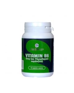 Health Sign Vitamin B6 12mg 60caps