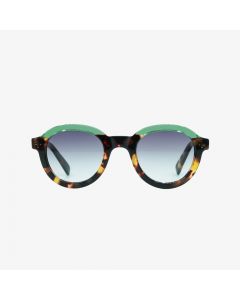 Emery Adult HD Polarized Sunglasses New Delhi