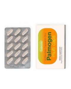 Evdermia Palmogen Multi Caps Dietary Supplement for Healthy Hair & Scalp 30caps 